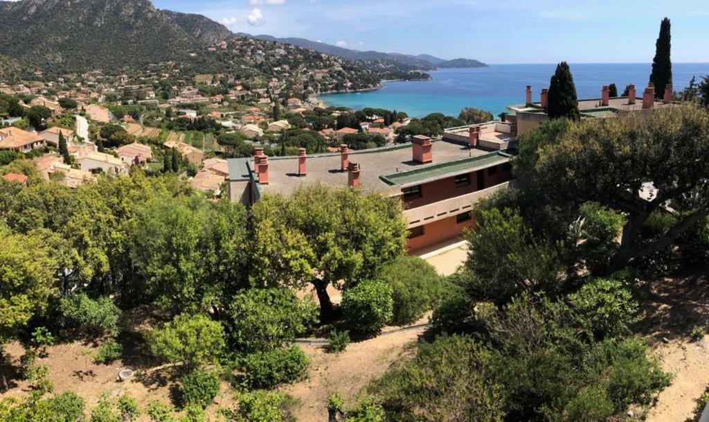 Appartement Altair Le Lavandou Kültér fotó